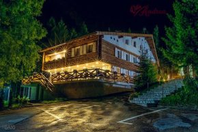 Гостиница Motel Vila Andrea  Сараево